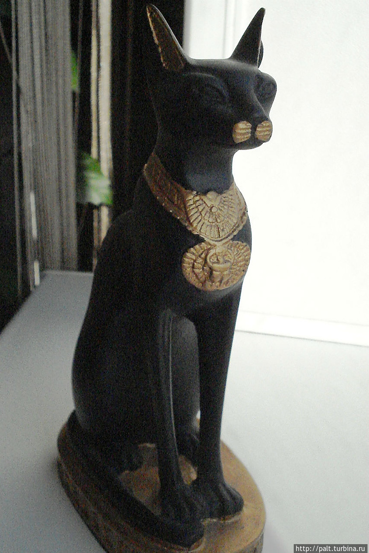В Египте кошек охраняли н