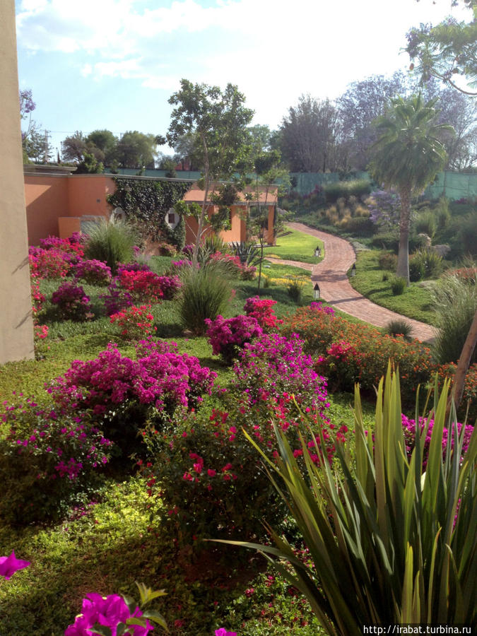 парк в отеле Rosewood Сан-Мигель-де-Альенде, Мексика