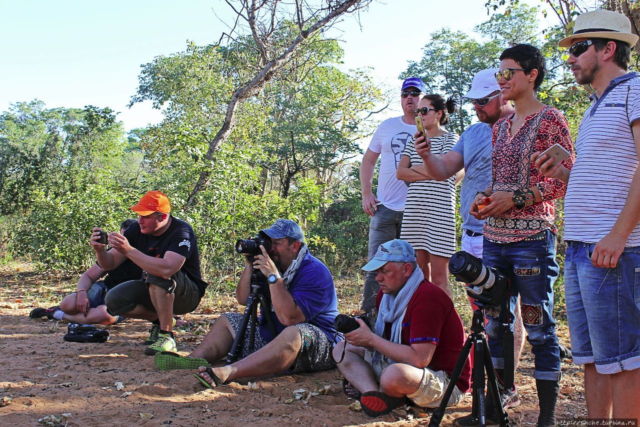 Живой музей Ю/'Хоанси-Сан Грашоек, Намибия