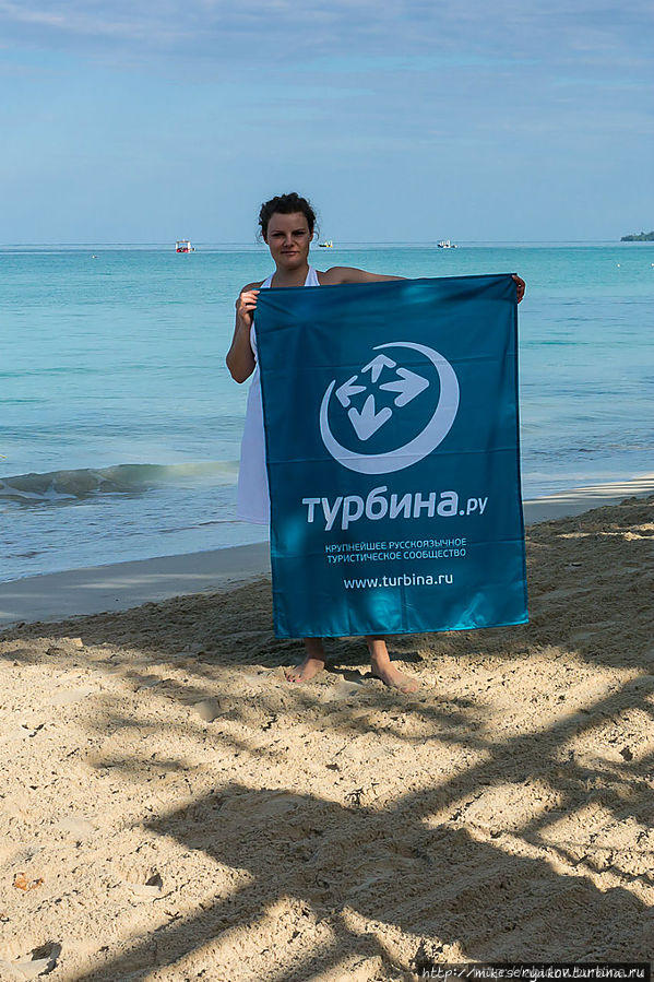 Флаги Турбины или 