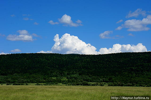 Макушка   лета.  Разнотравье,  разноцветье Южно-Сахалинск, Россия