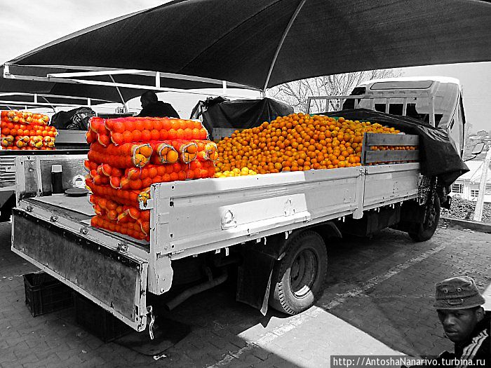 Апельсины Манзини, Свазиленд