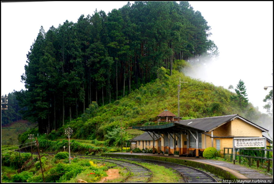 На  этой  станции  закончилась  дорога,  петляющая  среди  плантаций. Высота  около  2000 м.над  уровнем  моря. Нувара Элия, Шри-Ланка