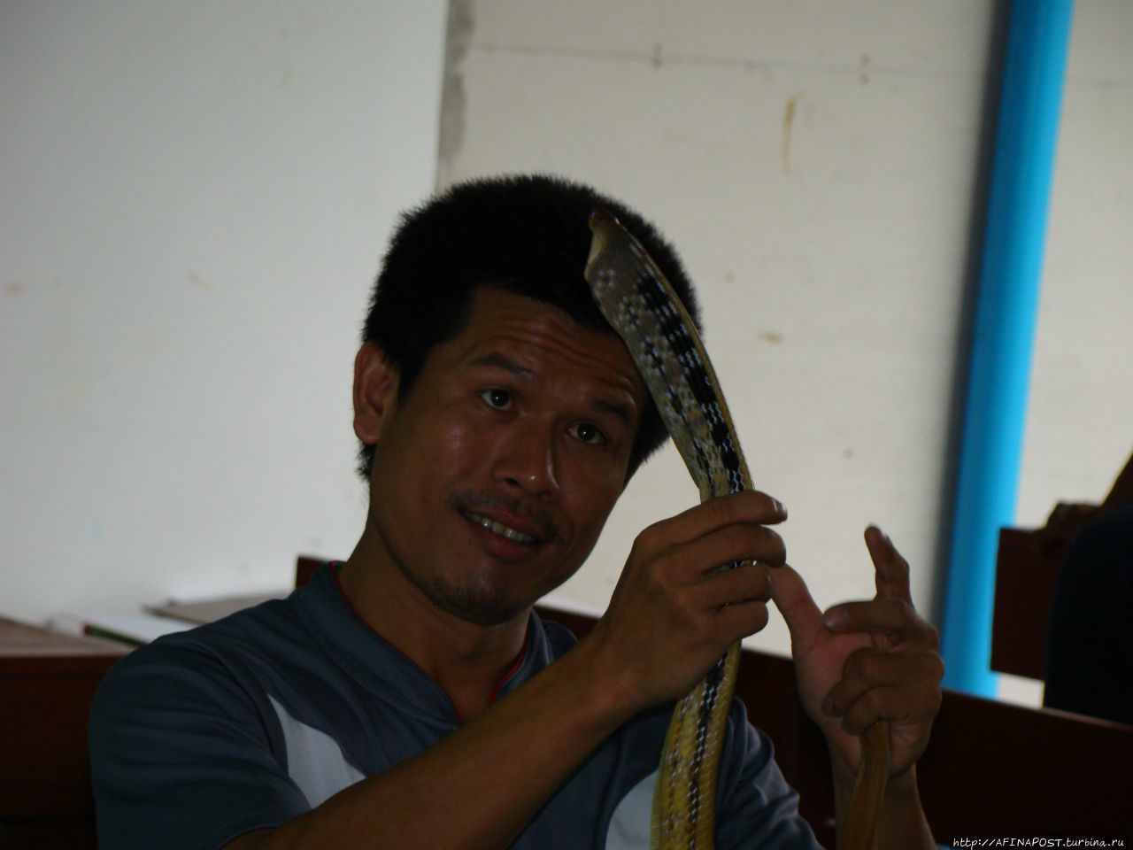 Любителям змеиных поцелуев Чалонг, Таиланд