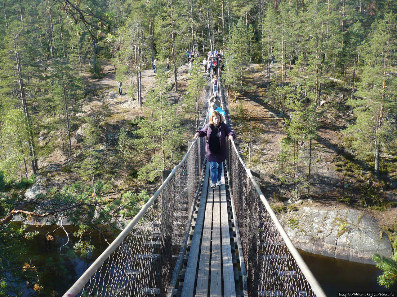 Небольшая прогулка по Лисьей тропе Реповеси Национальный Парк, Финляндия