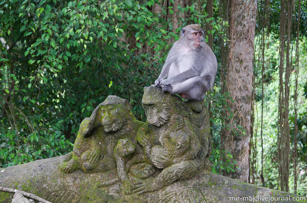 В парке очень много каменных обезьян. Убуд, Индонезия