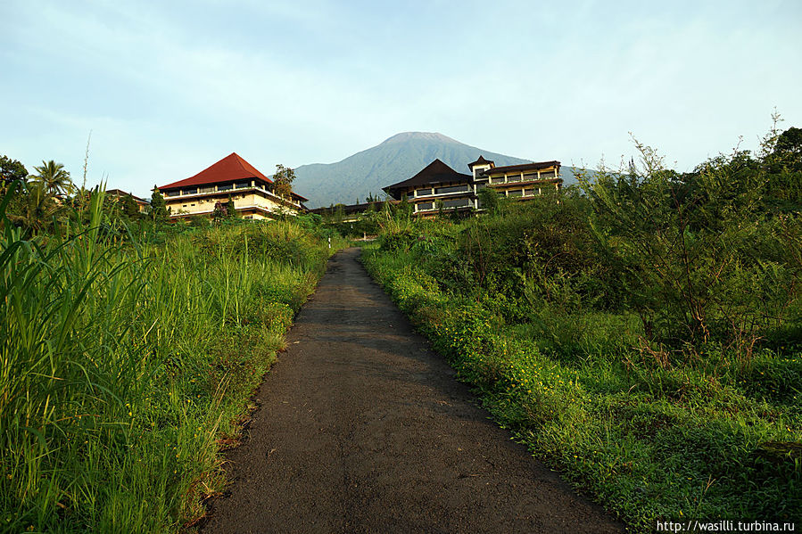 Отель Queen Garden расположеный у подножия вулкана. Ява, Индонезия
