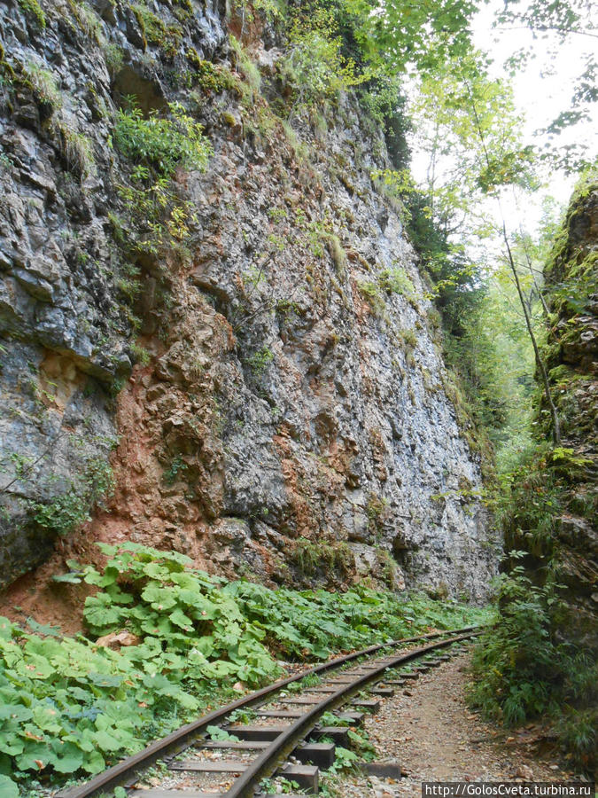 Гуамское ущелье Адыгея, Россия