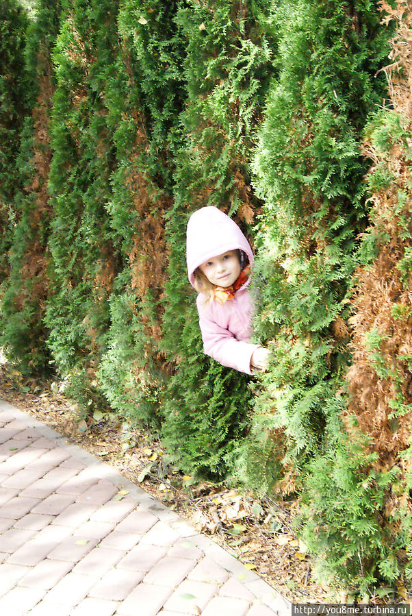 Поймайте мне кролика Нижегородская область, Россия