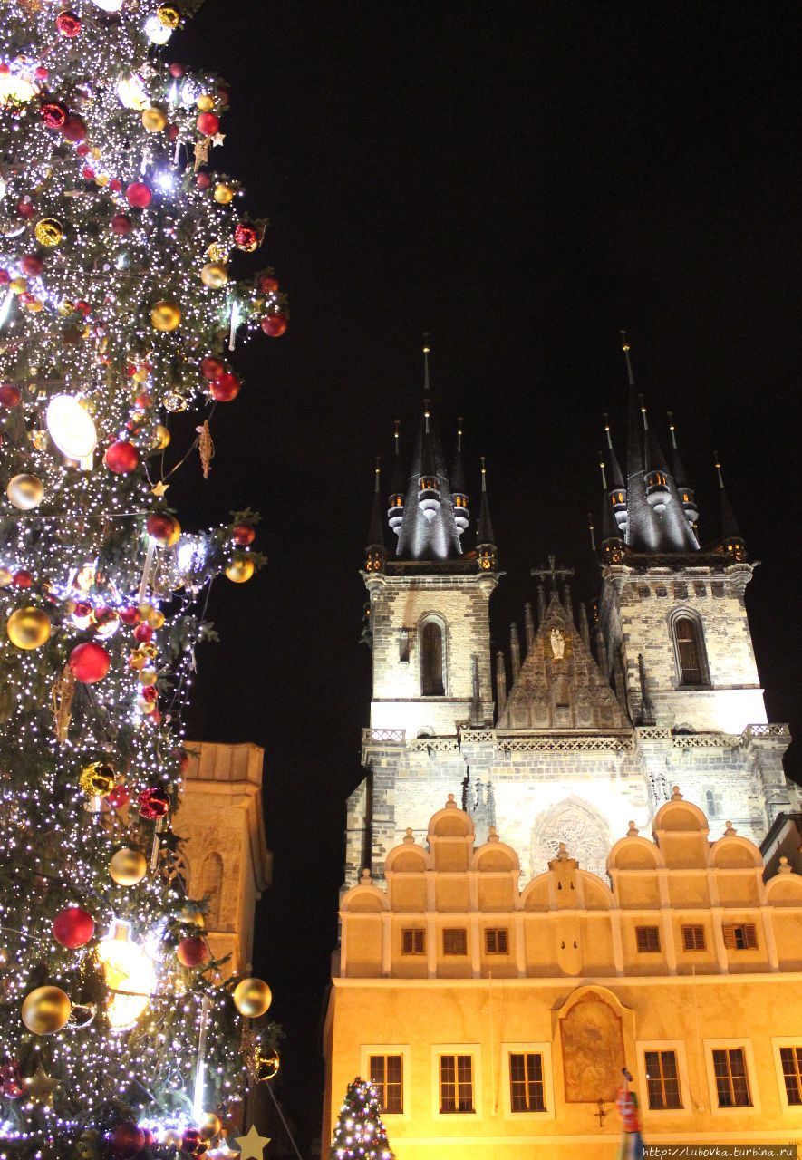 Главная Рождественская Красавица Праги Прага, Чехия