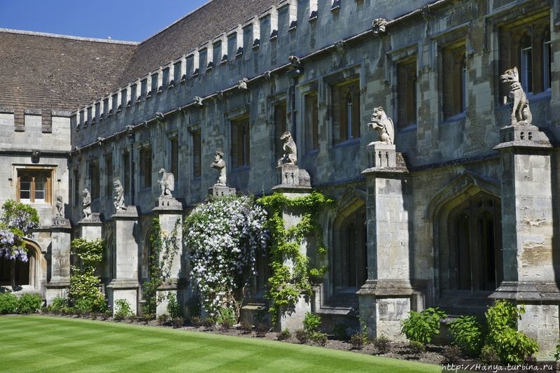 Магдален Колледж, Оксфорд. Горгульи внутреннего двора. Фото из интернета Оксфорд, Великобритания