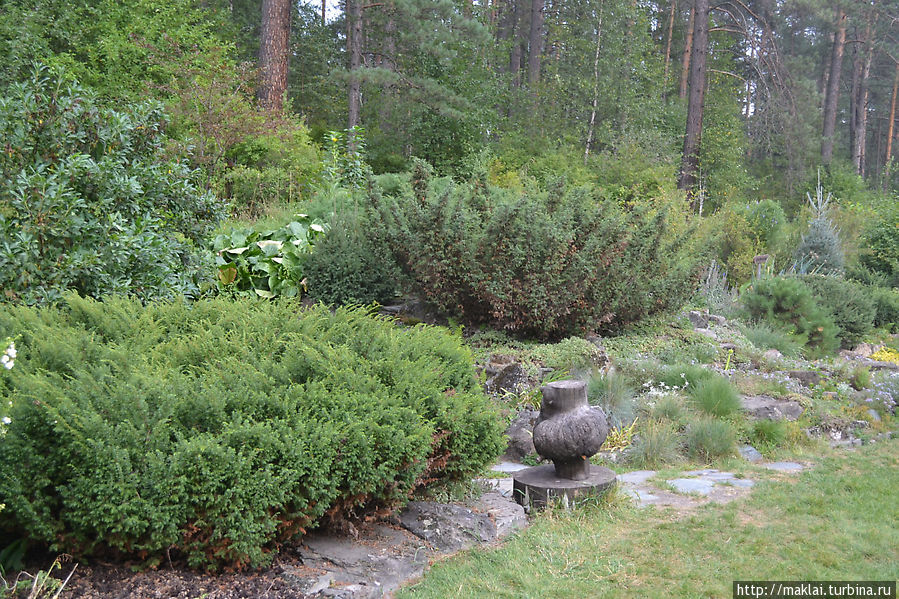 Приют спокойствия и уединения. Ботанический сад в Камлаке Камлак, Россия