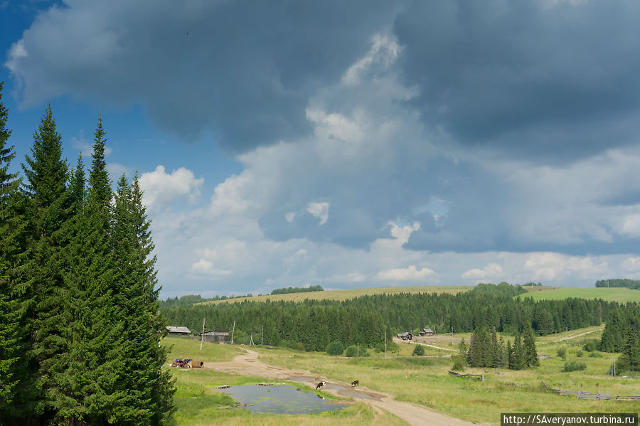 Аборигены Перми Великой Красновишерск, Россия