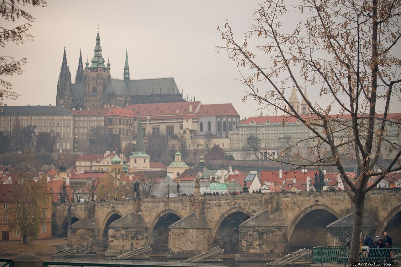 Прага —  где город вечерами тебе в затылок светит фонарями Прага, Чехия