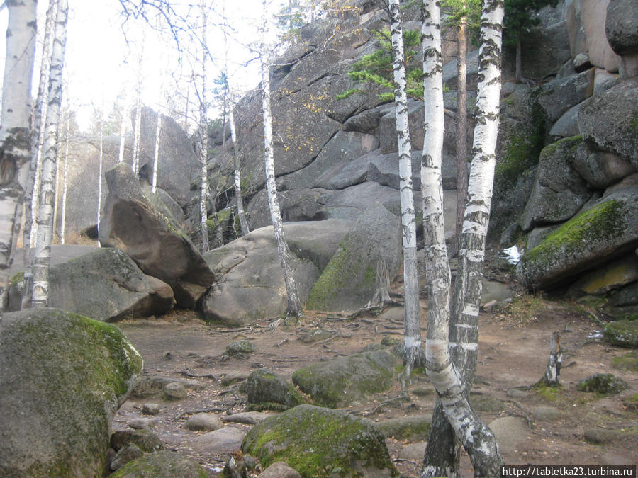 Красноярск. Заповедник Красноярские столбы Красноярский край, Россия