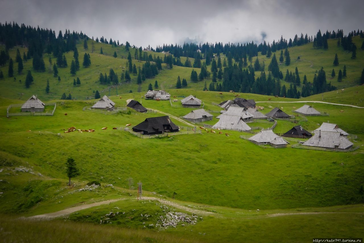 Словения. Пасмурная Велика Планина и Камник Камник, Словения