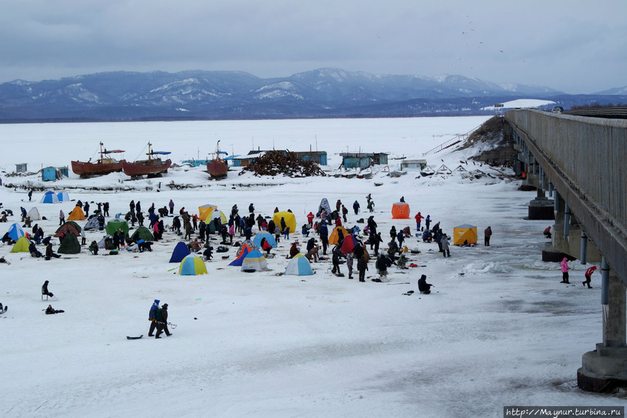 Любители в устье Найбы. Южно-Сахалинск, Россия