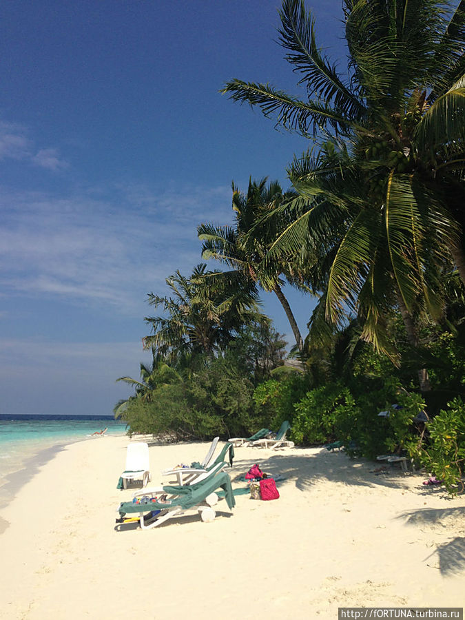 Один день из жизни отдыхающих Бандос, Мальдивские острова