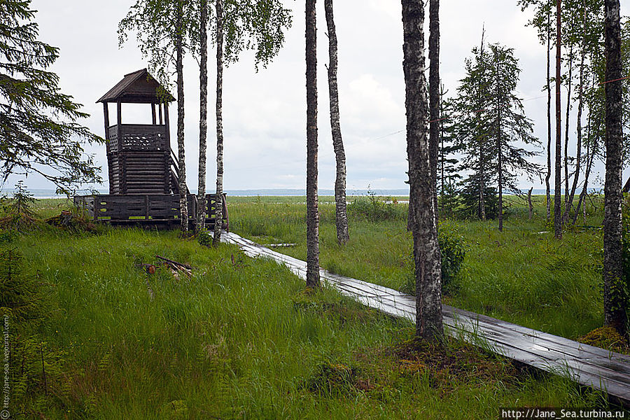 Охотничья заимка. Смотровая башня.