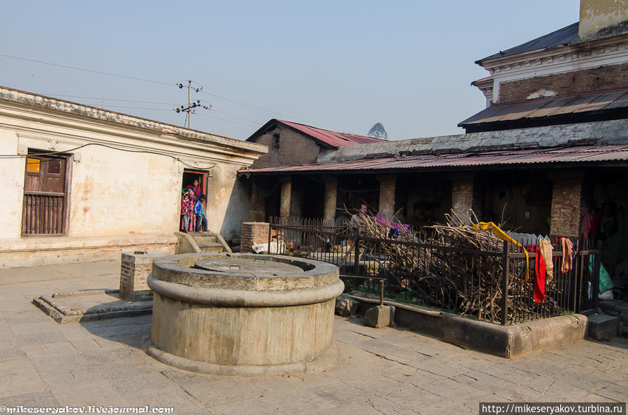 Коммерческие садху Катманду, Непал
