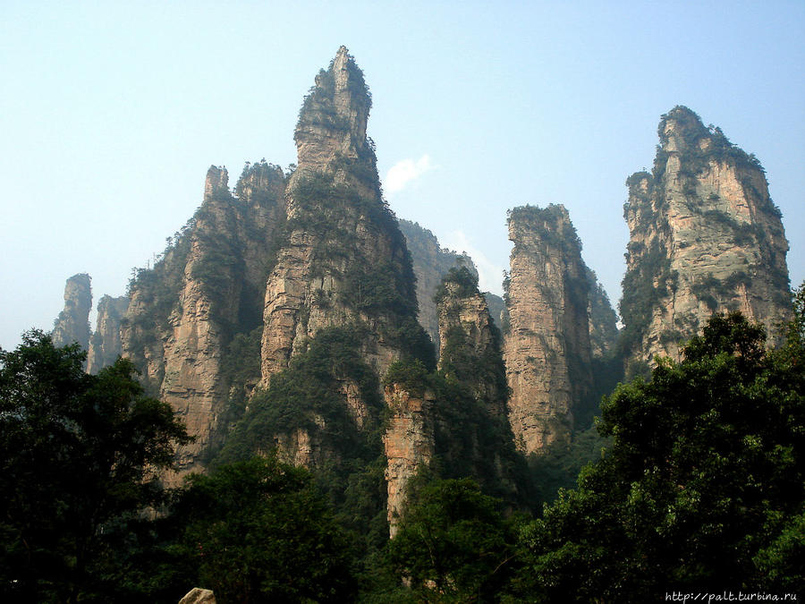 Ущелье Цзиньбяньси (Золотой Кнут) Чжанцзяцзе Национальный Лесной Парк (Парк Аватар), Китай