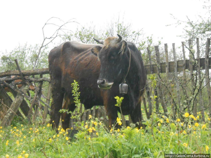 Под грозовым небом Мезмая Мезмай, Россия