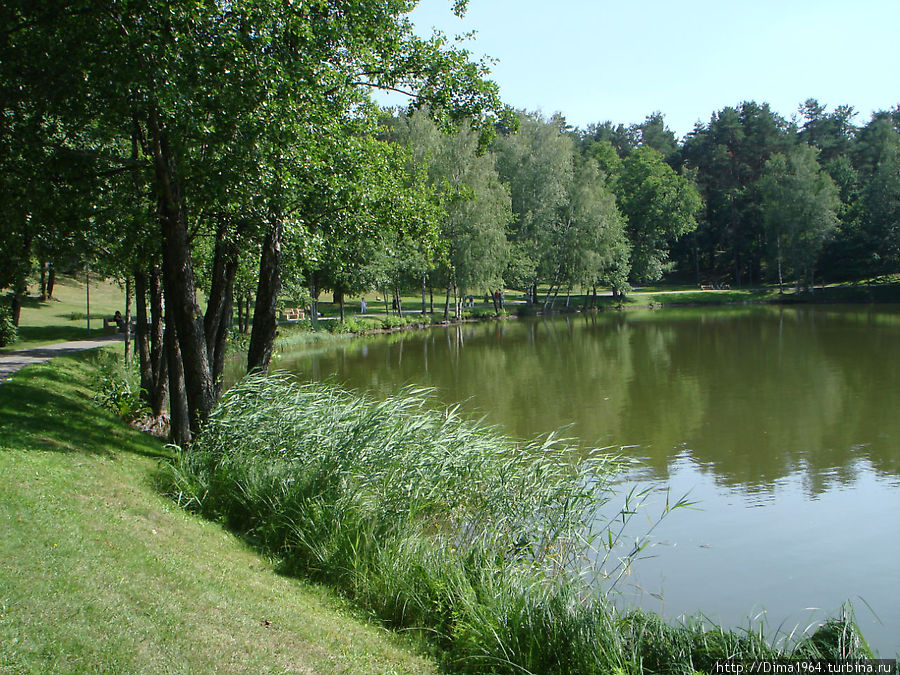 У озера Друсконис Друскининкай, Литва