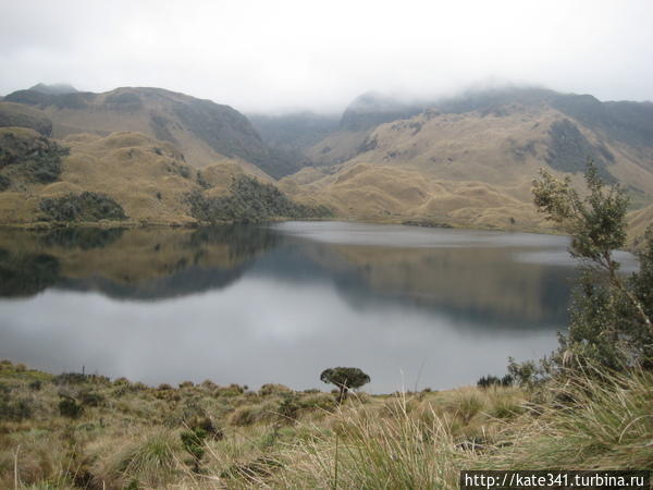 Горы и горячие источники Папаякты Папальякта, Эквадор