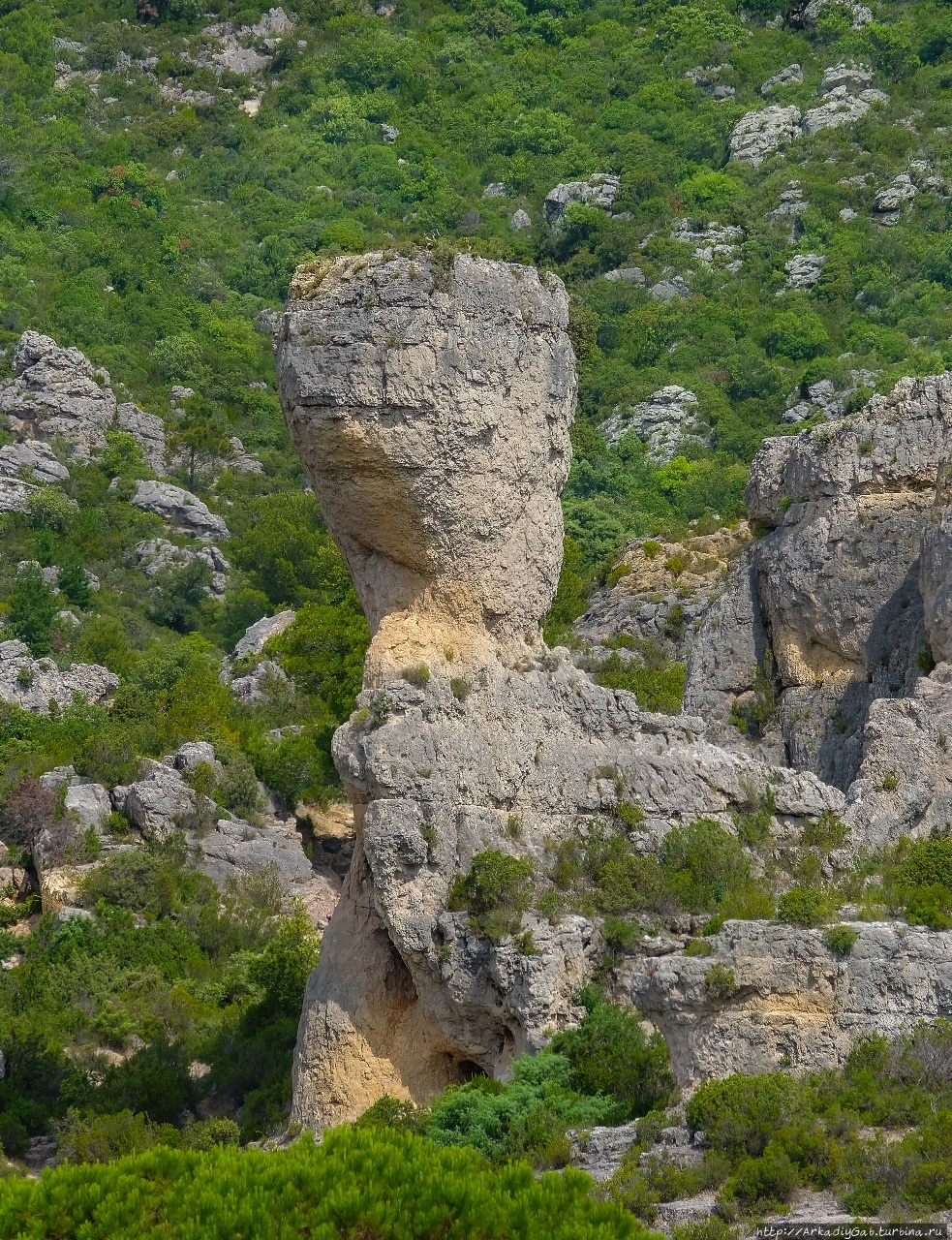 Цирк, да не только Мурез, Франция