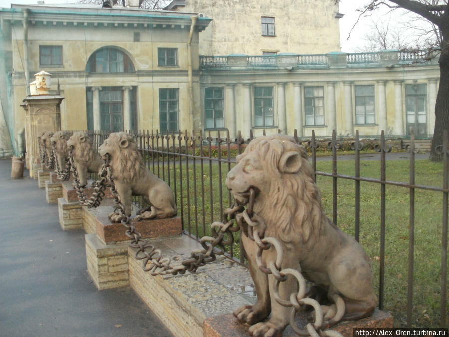 29 львов охраняют усадьбу. Архитектор Львов, возможно, автор этих львов. Санкт-Петербург, Россия