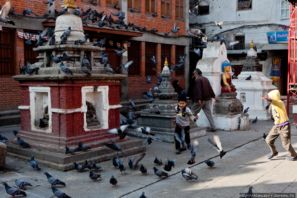 Обитель Снегов. Часть первая. Катманду, Непал