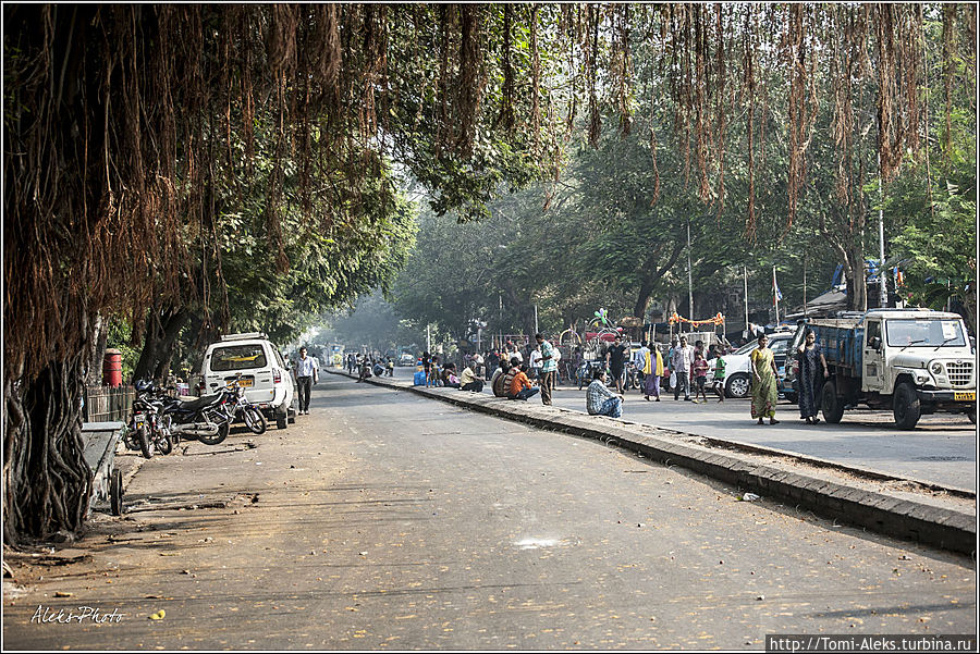 Интересно, как в джунглях, свисают сверху ветви деревьев...
*