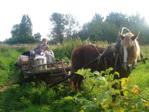 парень на телеге