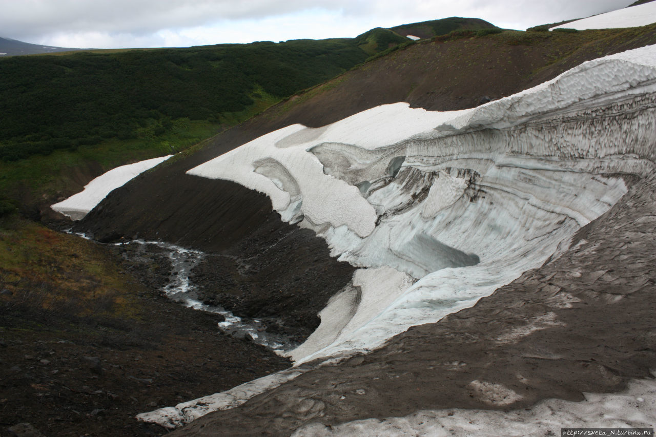 Моя Камчатка Камчатский край, Россия