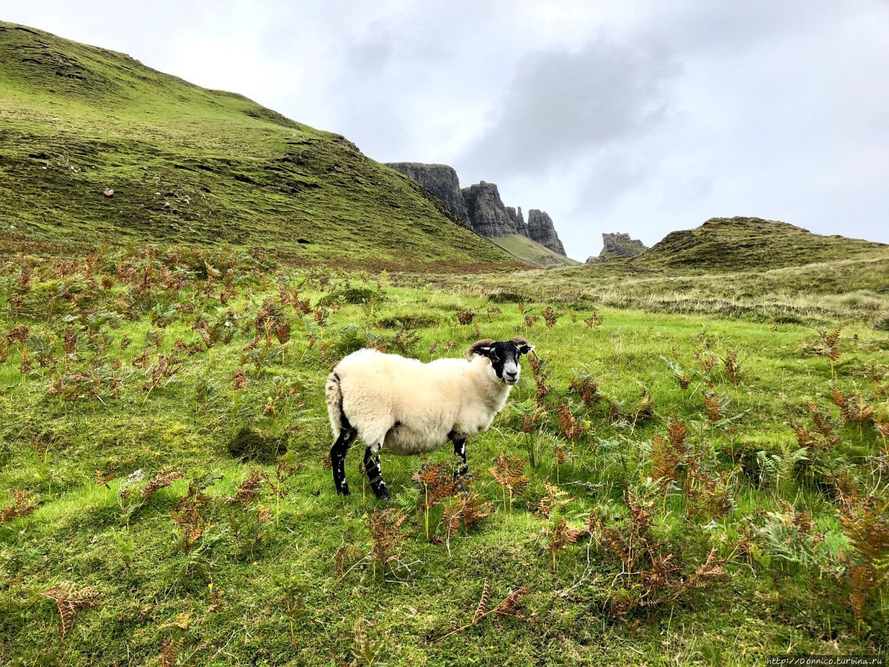 Old Man of Storr, Skye Остров Скай, Великобритания