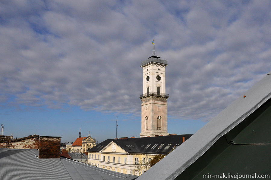 А из нашего окна – Львовская ратуша видна! Львов, Украина