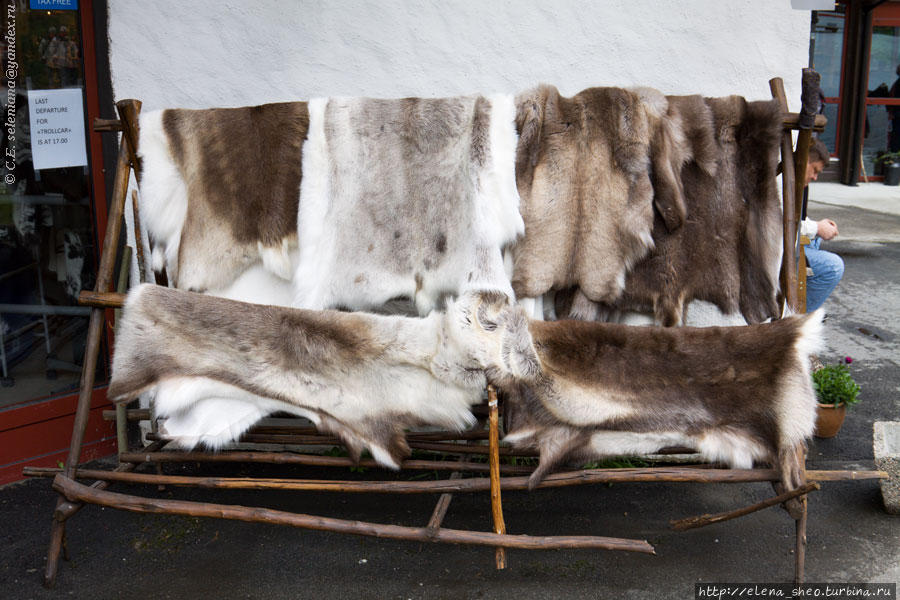 2. Тут продают и оленьи шкуры. Бриксдальбреен, Норвегия