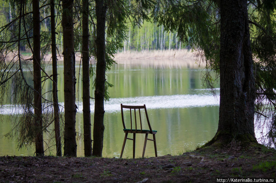 Для чего не стоит сидеть дома в первомай Истра, Россия