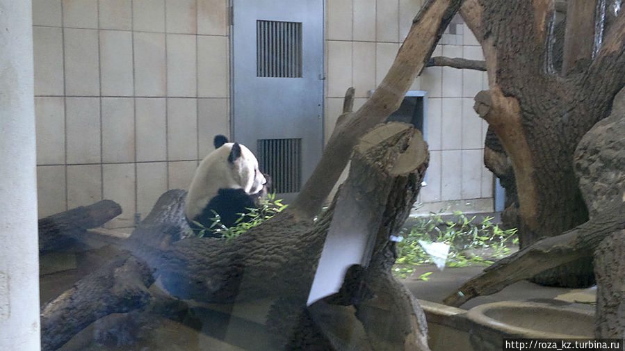 в лучшем случае в таком ракурсе