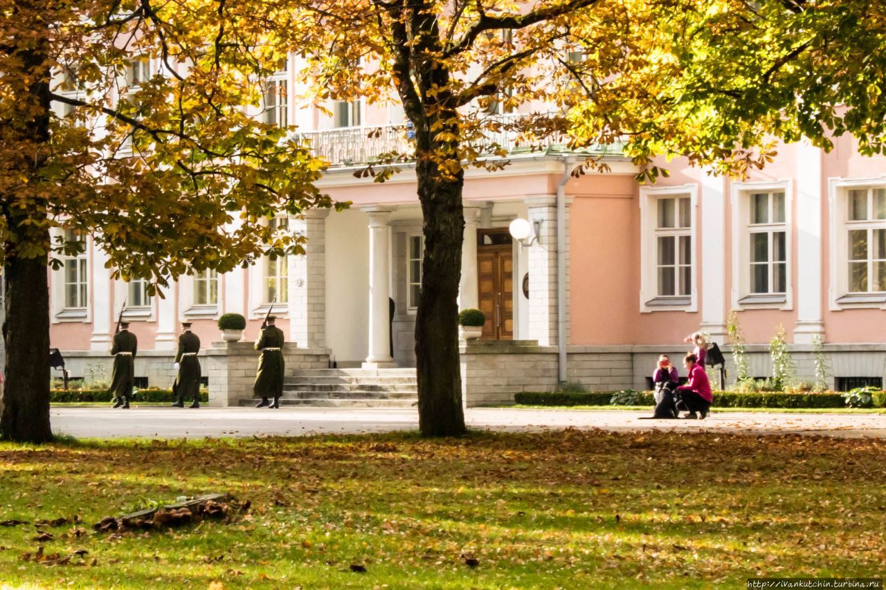 Солнечная осень Таллин, Эстония