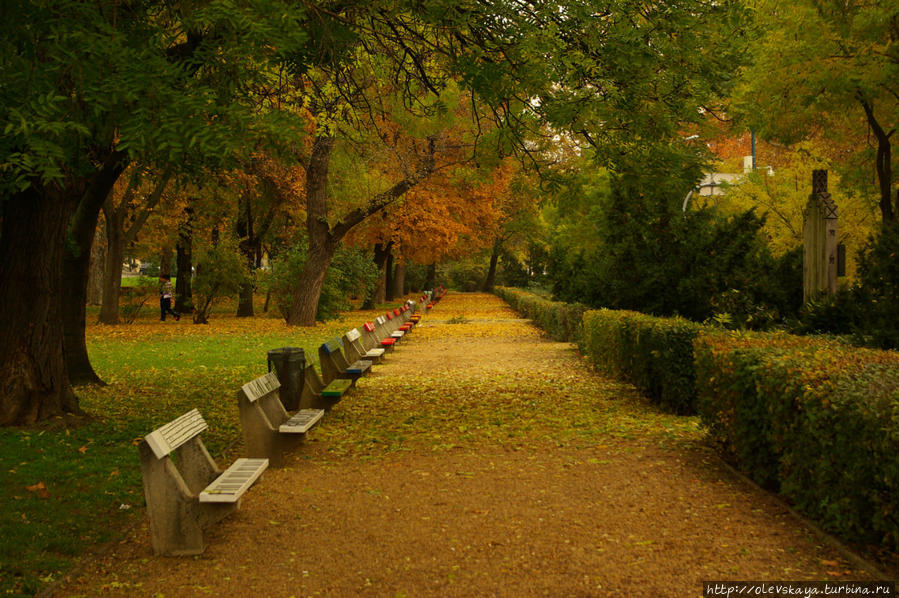 Золотой ноябрьский Будапешт Будапешт, Венгрия