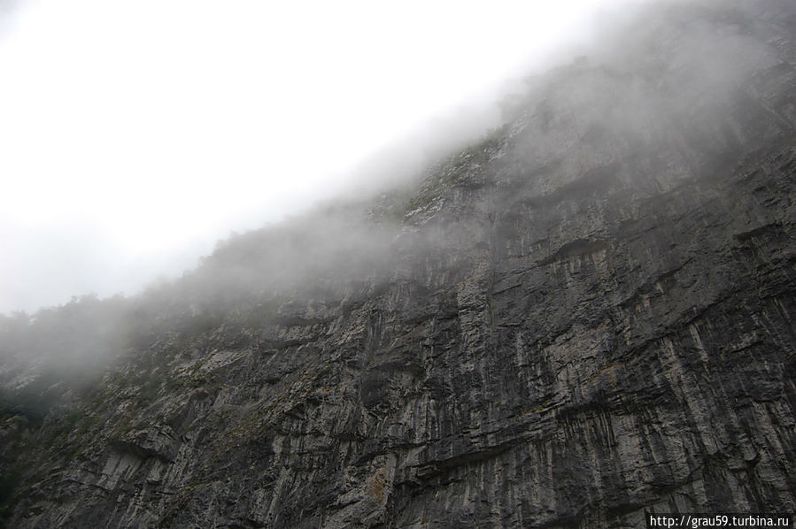 Верх ущелья в тумане Гагрский район, Абхазия