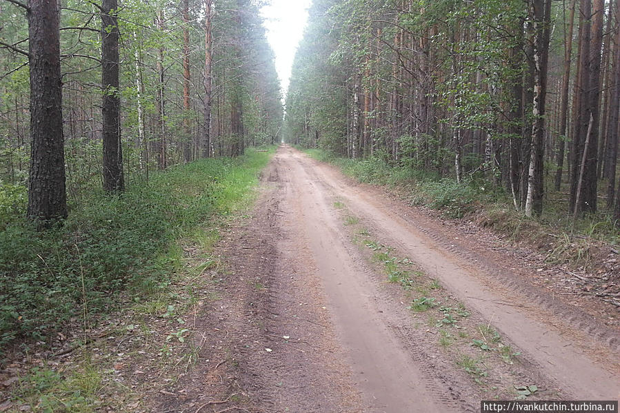 На поиски заброшенной церкви. Бездорожье и запустение Архангельская область, Россия