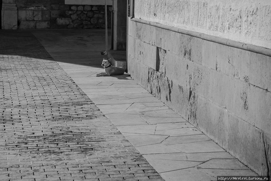 Фасадная часть музея Марисель дель Мар Конья, Турция