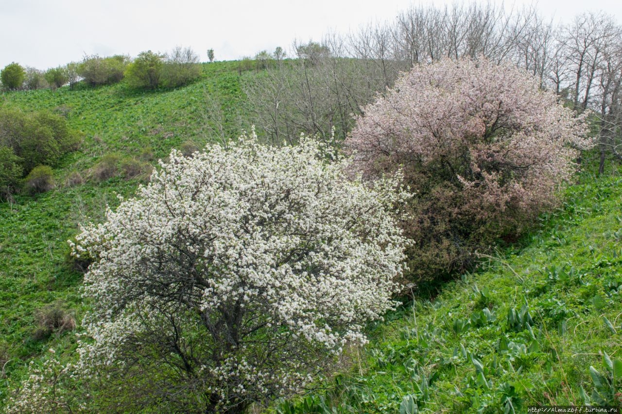 Горнолыжная база ЦСКА (бывшая база 