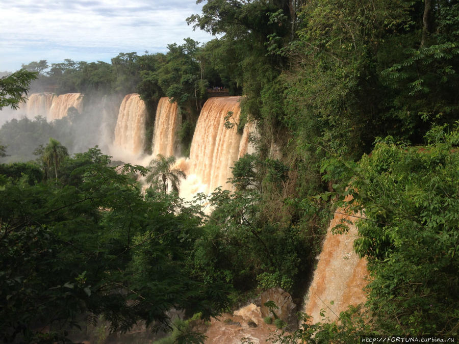 Национальный парк Игуасу / Iguazú National Park