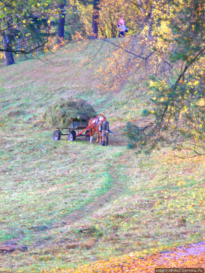 Сохраним ли мы Павловский парк? Павловск, Россия