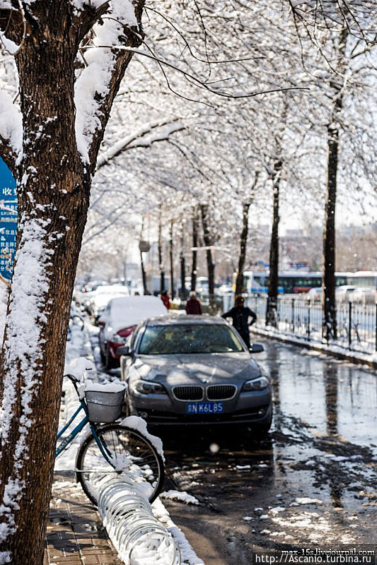 Как в Пекине снег выпал Пекин, Китай