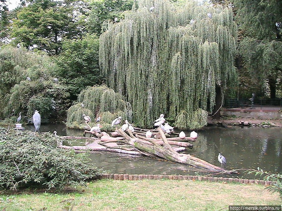 Берлинский зоопарк Берлин, Германия