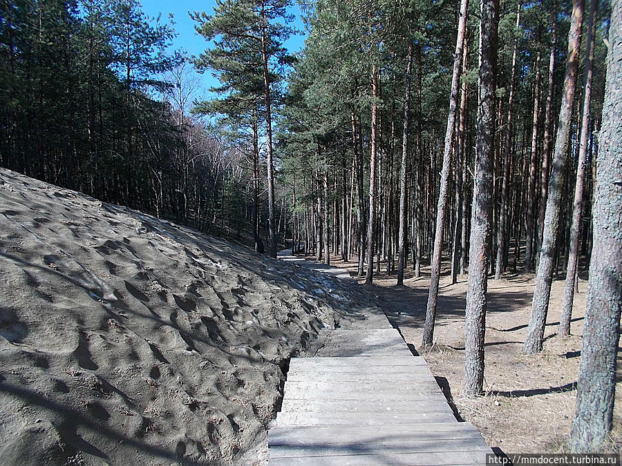 Остатки тающего снега. Уже занесены песком, поэтому не до конца расстаял Куршская Коса Национальный Парк, Россия